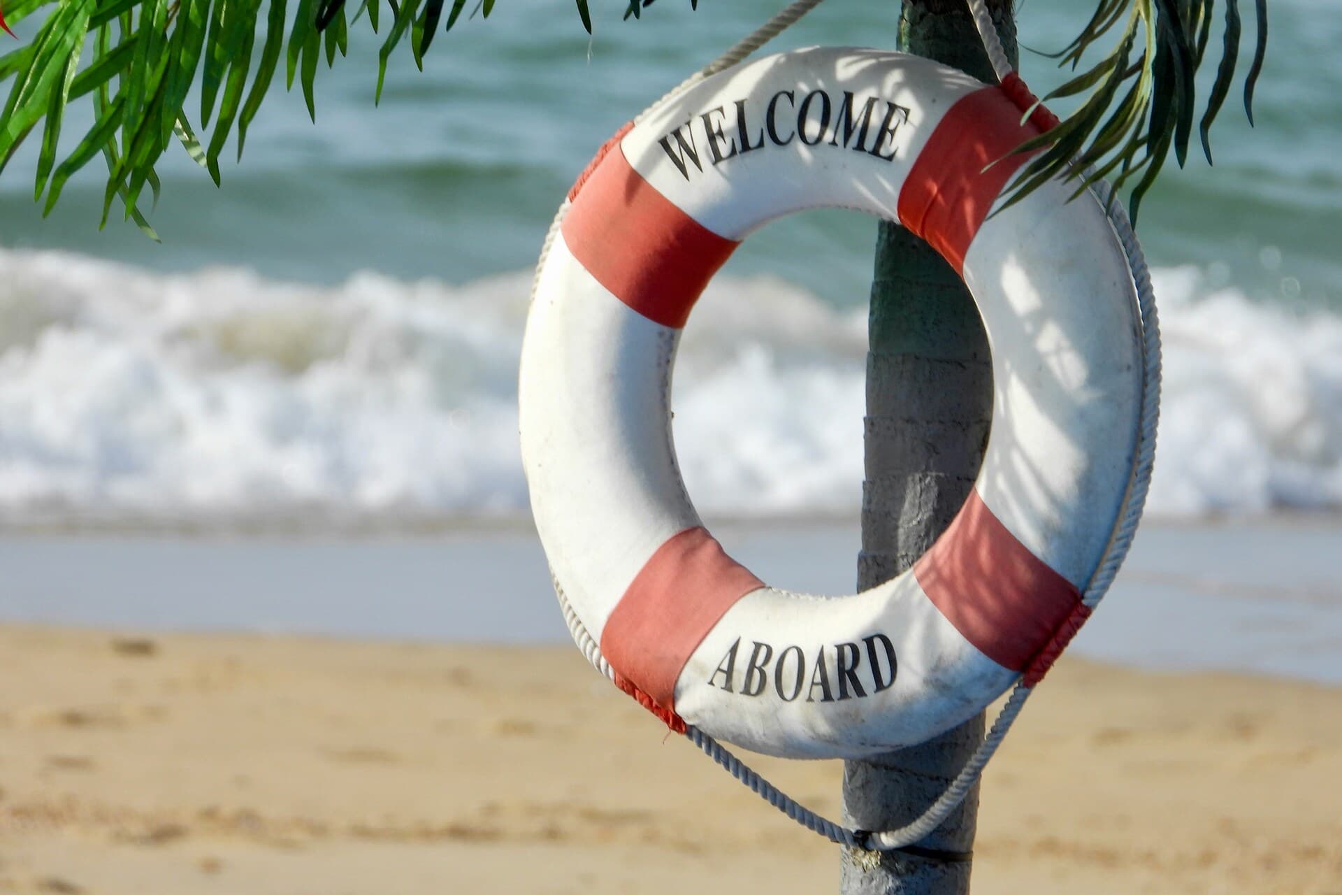 Livboj som hänger i ett träd på en strand som symboliserar support